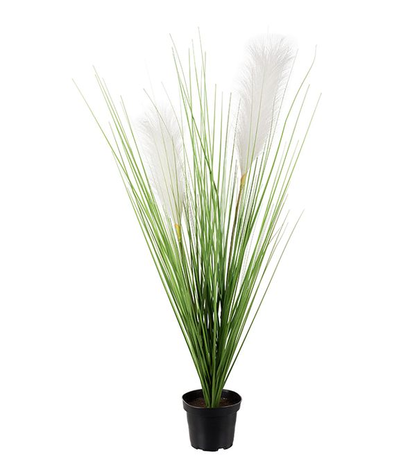 Hovedbilde Gras i potte H 65 cm