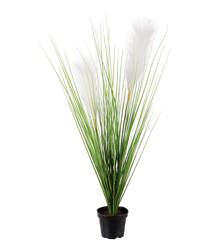 Gras i potte H 65 cm