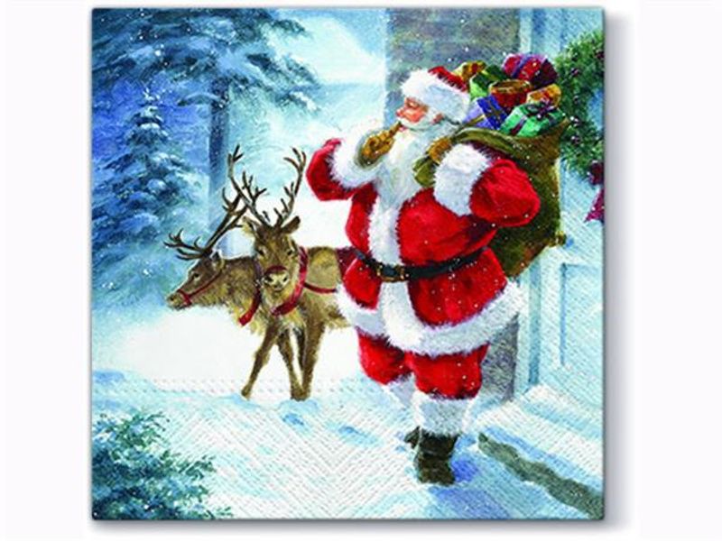 Servietter nisse/rein 33x33 cm