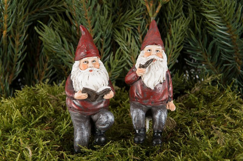Nisse med bok 10 cm