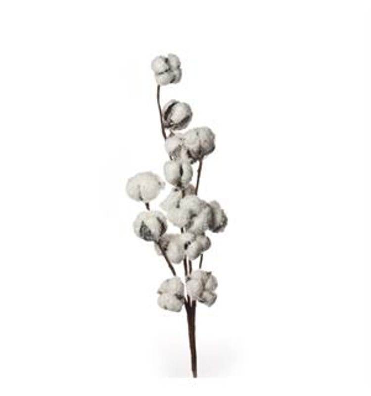Kvist bomull 70 cm