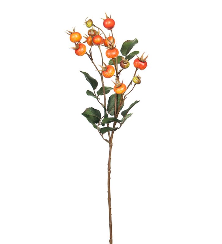 Nype Stilk  H 60 cm