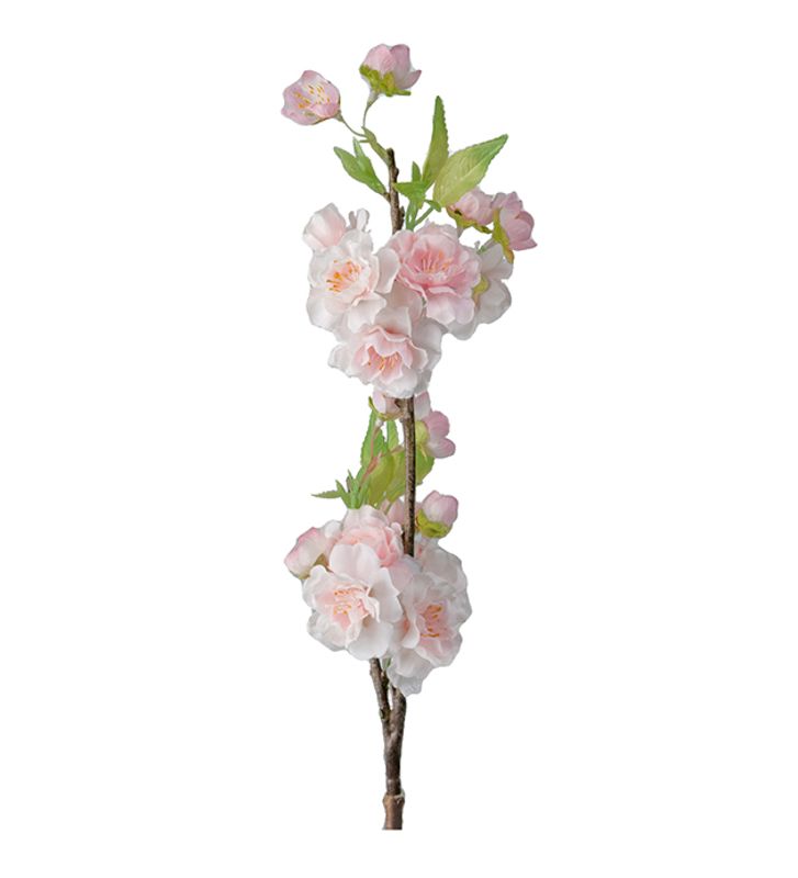Kirsebærblomst Stilk Rosa H 45 cm