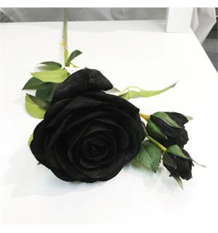 Rose/2 knopper stilk sort 77 cm