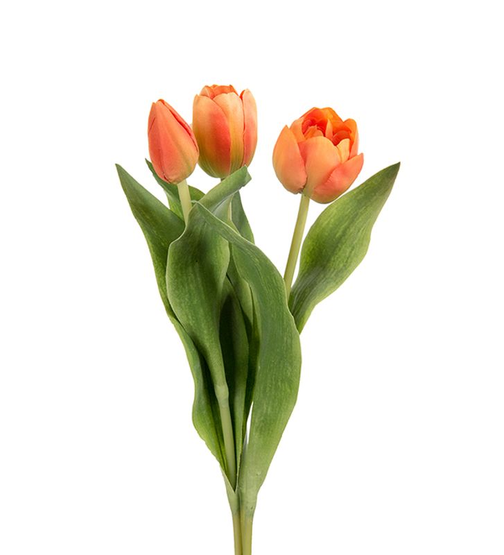 Tulipan Orange 36 cm Halvåpen blomst