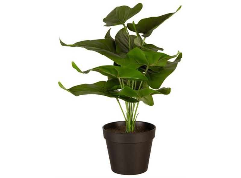 Philodendron sort potte 41x41x35cm